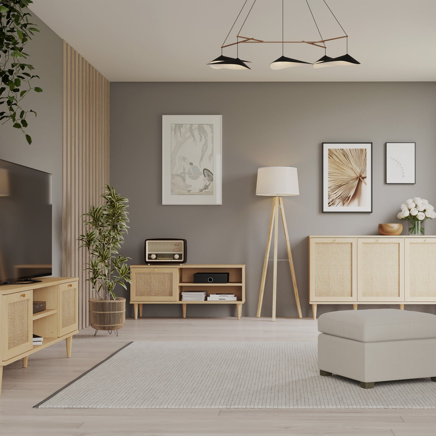 Calasetta 1 Door TV Unit in Rattan