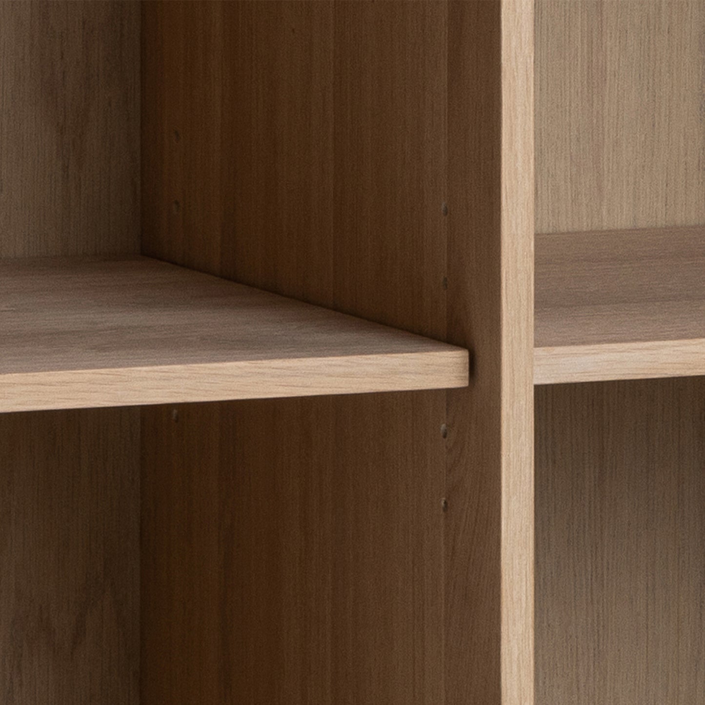 Linea Cabinet with 2 Doors and 4 Shelves