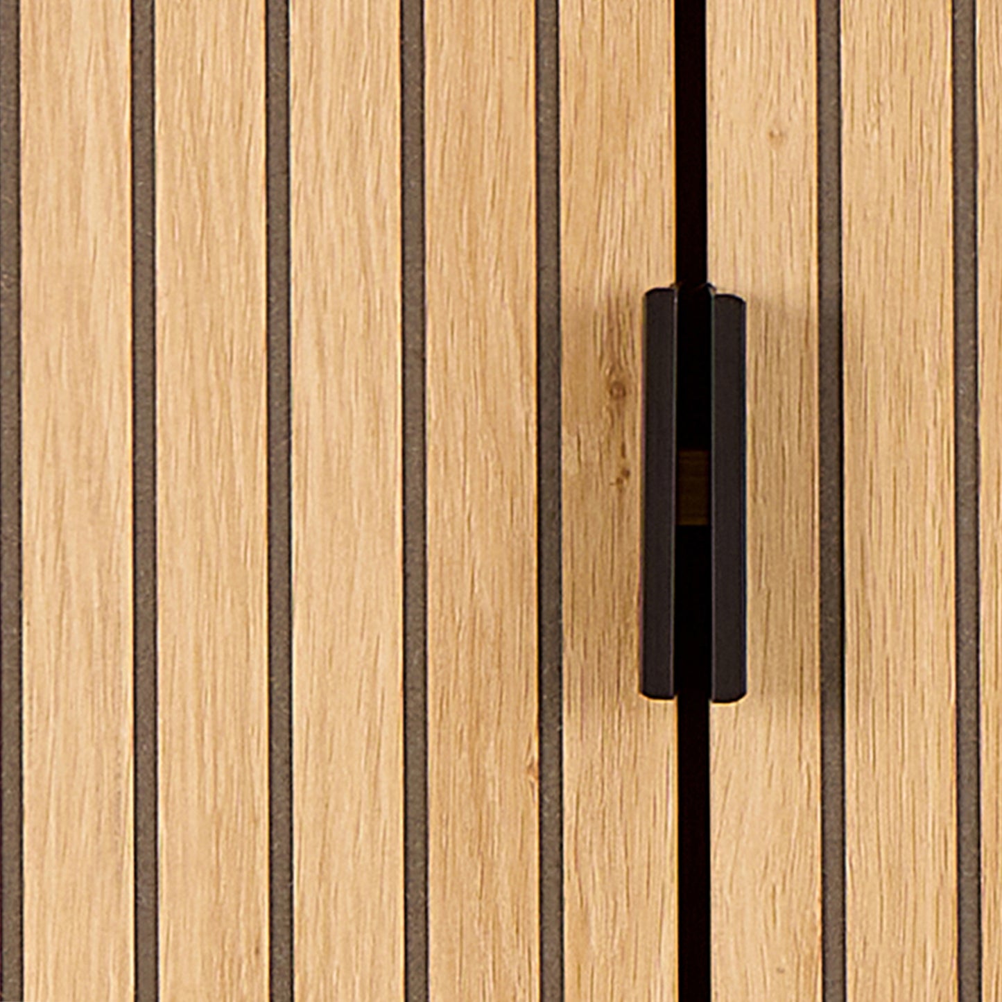 Jaipur Cabinet 2 Doors 3 Shelves With Oak Lamella Front