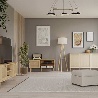 Calasetta 1 Door TV Unit in Rattan