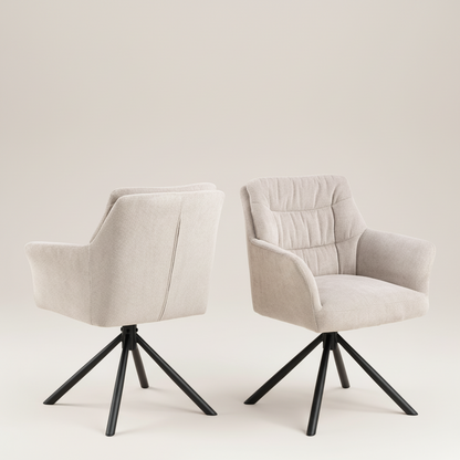 Alonso Dining Chair - Set of 2