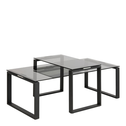 Element Coffee Table Set with Smoked Glass Top