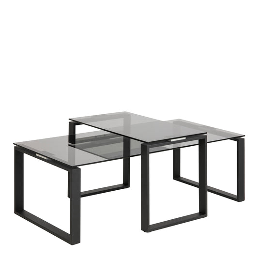 Element Coffee Table Set with Smoked Glass Top